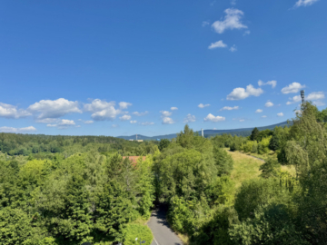Altersgerechte 2-Raum-Wohnung mit Balkon!, 98528 Suhl, Wohnung