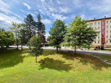 2-Raum-Wohnung in Klinikumsnähe, 98527 Suhl, Wohnung