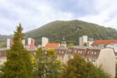 Ausblick aus der Wohnung - Gemütliche 3-Raum-Dachgeschosswohnung in zentraler Lage