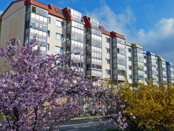 Sanierte 2-Raum-Wohnung im Zentrum mit Aufzug, 98527 Suhl, Wohnung